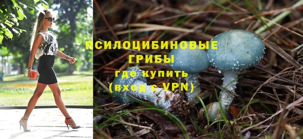 спайс Абинск