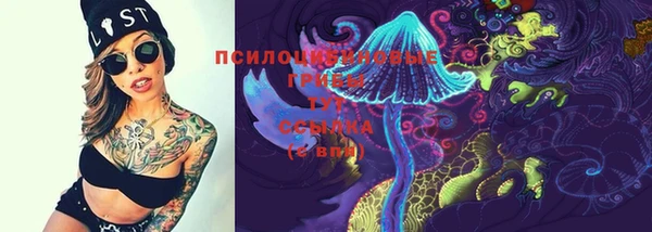 марки lsd Абаза
